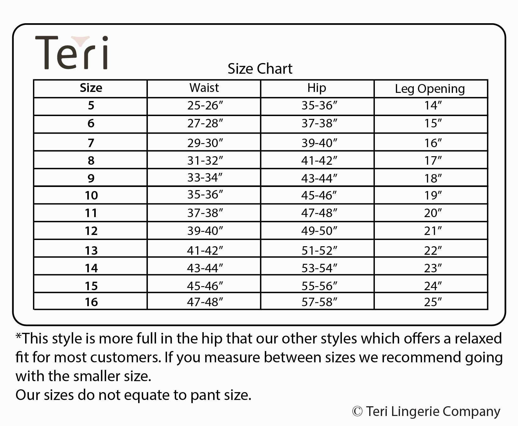A size chart for Teri Lingerie Nylon Brief Panty (Style 331/Plain Jane) Surprise Color 10 Pack details waist, hip, and leg openings for sizes 5–16, plus a fit note. Use this guide to find your perfect nylon panty fit. Copyright Teri Lingerie.