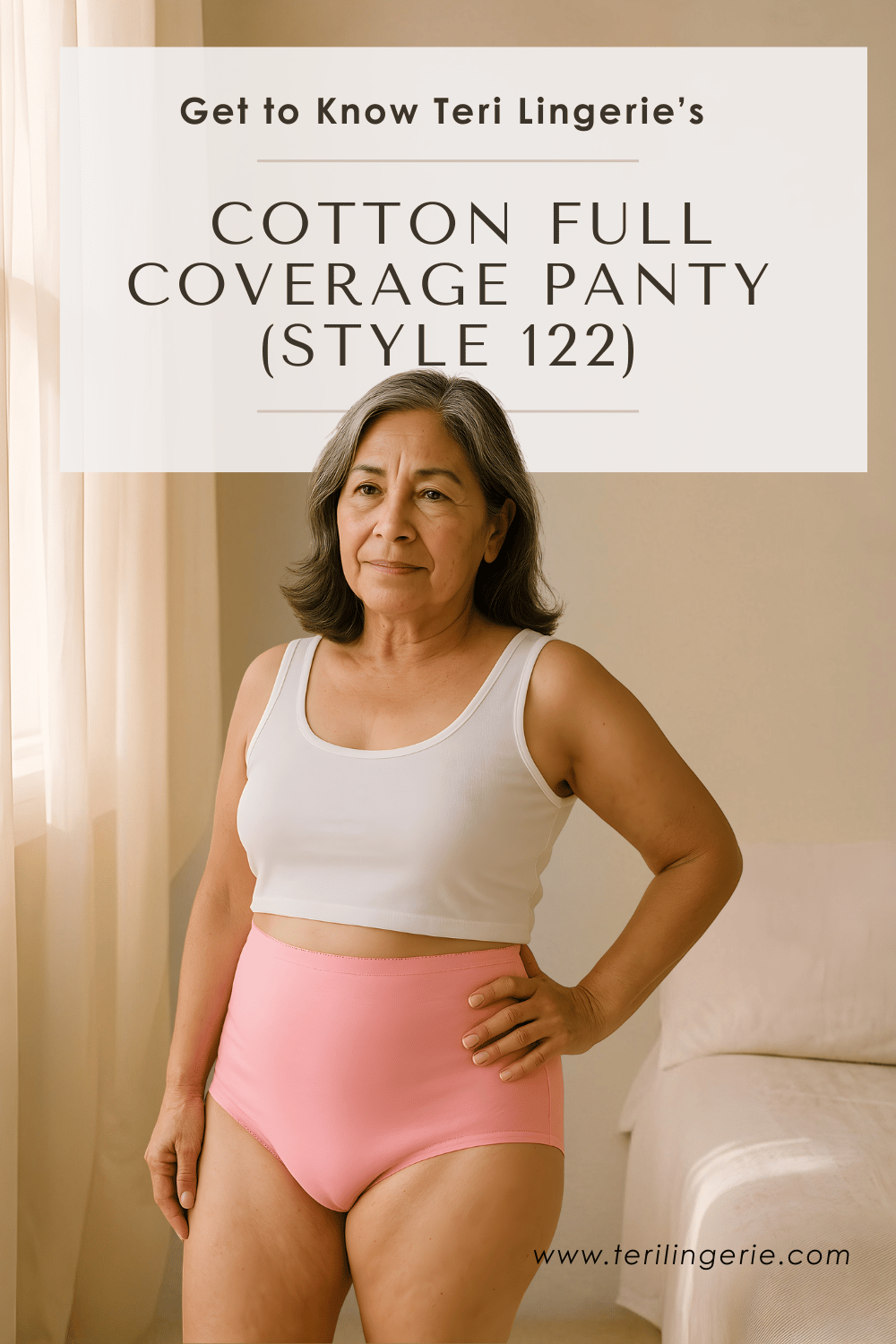 Teri Lingerie 122 full coverage cotton brief article graphic