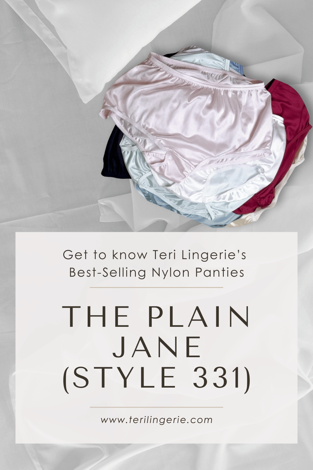 Teri Lingerie Plain Jane 331 nylon brief article graphic