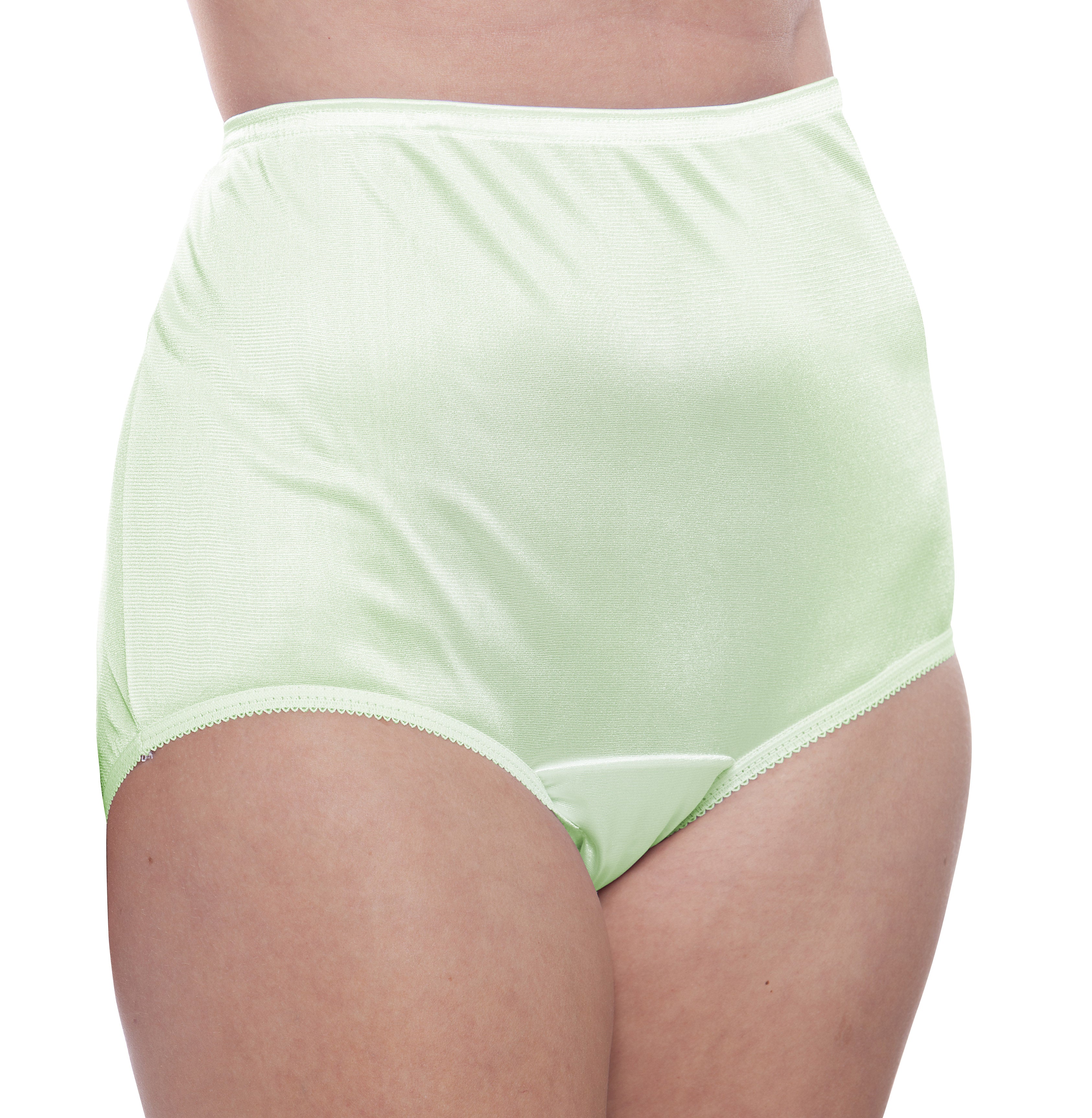 Women's Full Coverage Nylon Panty 5 Pack – Teri Lingerie