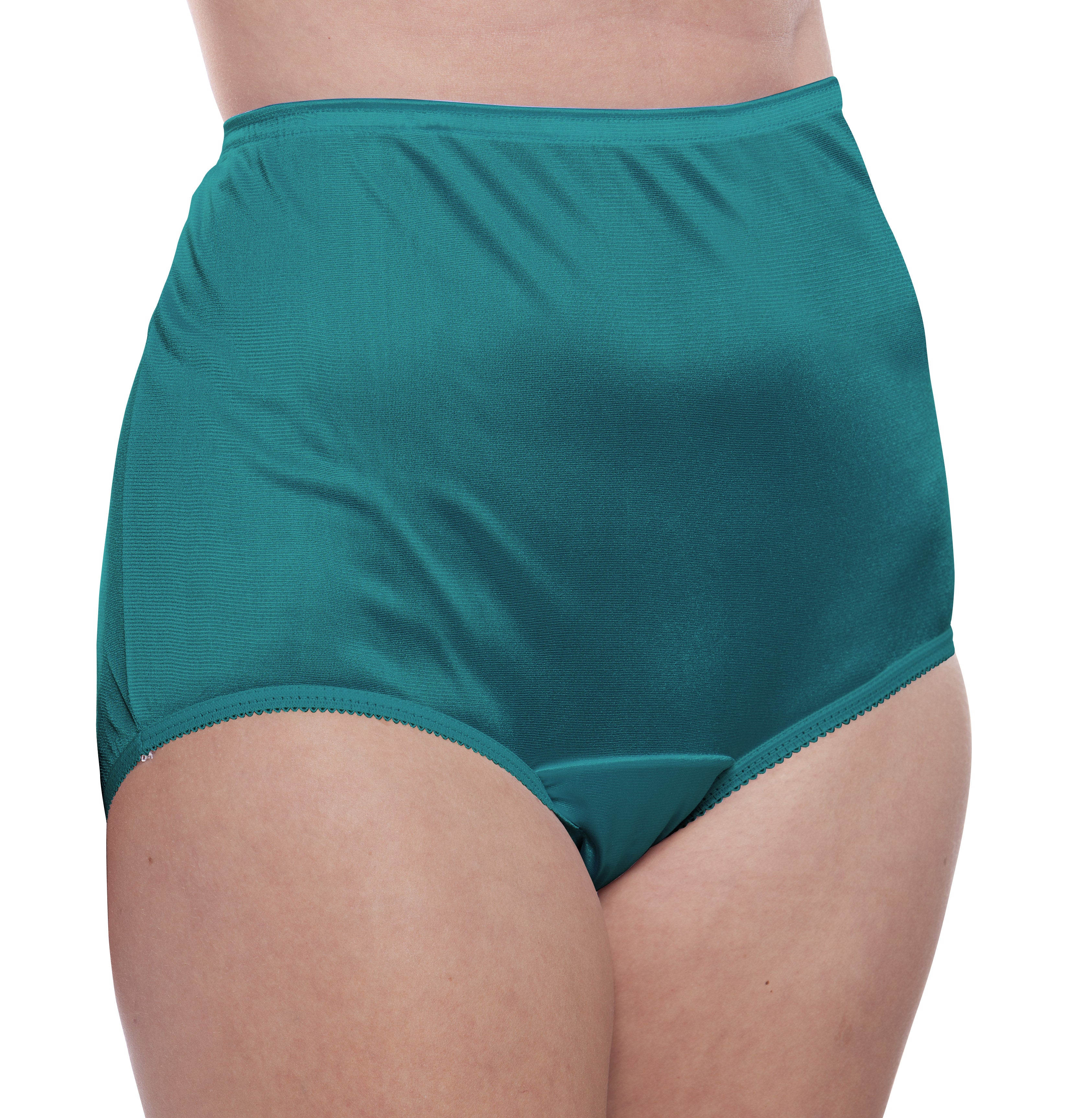 Teri Women's Full Cut Nylon Brief Panty - 4 Pack 331, White, 5 at