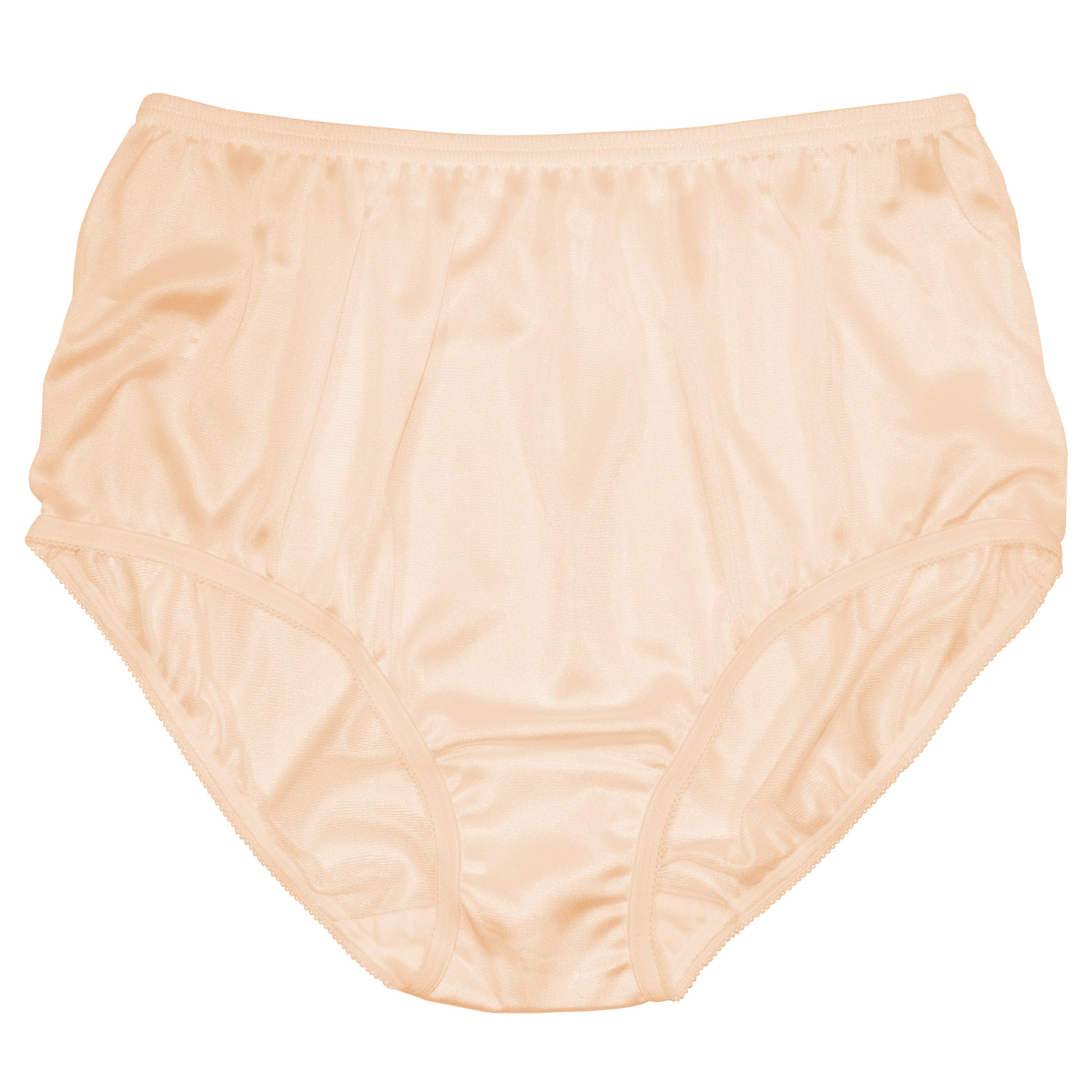 Women's Teri 331 Full Cut Nylon Brief Panty - 4 Pack (White 12) 