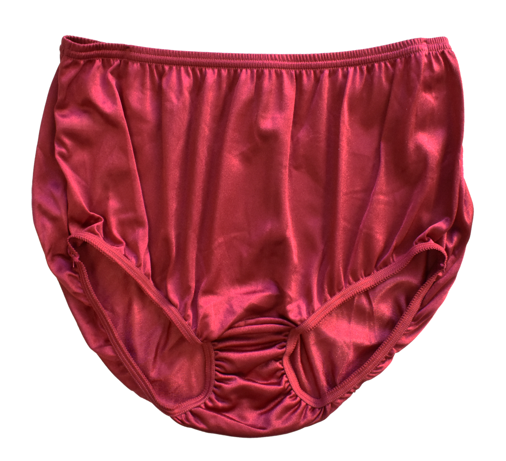 Nylon Brief Panty (Style 331/Plain Jane) 4 Pack in Wine